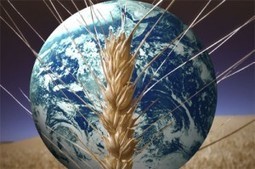 The index that measures the risks and factors that drive food security : Abstract Thoughts | DuPont ASEAN | Scoop.it