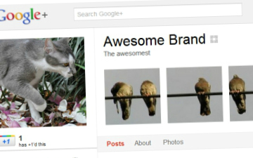  Google+