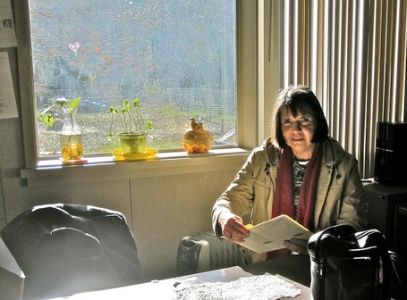 Calif. schools employing fewer nurses, librarians | Buffy Hamilton's Unquiet Commonplace "Book" | Scoop.it