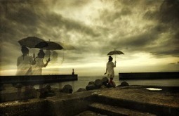Jumping off the Digital&nbsp;Bandwagon | Voices in the Feminine - Digital Delights | Scoop.it