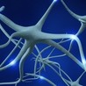 Longevity science