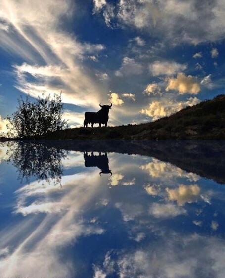 21 Brilliant Reflection Photos From the Mashable Community | Everything from Social Media to F1 to Photography to Anything Interesting. | Scoop.it