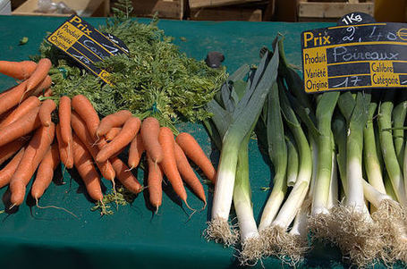 Health and Nutrition Tips for Vegetarian Kids | United Way | United Way | Scoop.it