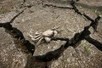 &Aacute;REAS MARINAS DEL OCCIDENTE CUBANO ENTRE LAS MEJORES CONSERVADAS DEL CARIBE | Agua | Scoop.it