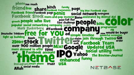 Facebook IPO Word-of-Mouth Win for Twitter | Social Media Analytics and US Politics | Scoop.it