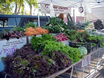 Ecological knowledge offers perspectives for sustainable agriculture | Earthday News Everyday | Scoop.it