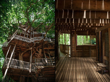 Une sacr&eacute;e cabane dans un arbre ! | Just Do It Yourself | Scoop.it