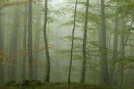 New Business Model Offers Fresh Approach for Valuing Nature ... | The Value of Water | Scoop.it