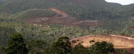 Vale Nouvelle-Cal&eacute;donie & la Province Sud perdent au tribunal | Ensemble Pour La Plan&egrave;te | Biodiversit&eacute; NC | Scoop.it