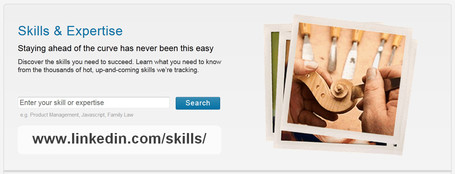 Skills | LinkedIn | E-Learning and Online Teaching | Scoop.it