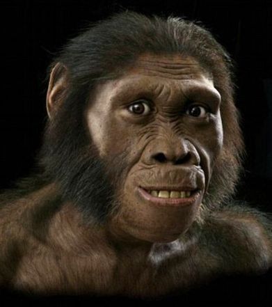 LES MOULAGES DE SQUELETTES D'AUSTRALOPITHECUS SEDIBA A LONDRES | Prehistoire | Scoop.it