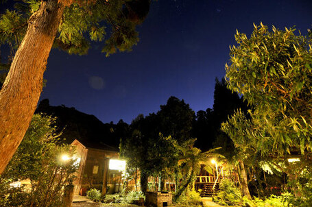 Lodge Yaedake Sansou, Miyanoura | Yakushima accommodation | Scoop.it