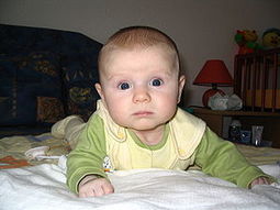 Structure of childhood temperaments | Personality | Scoop.it