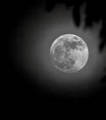 Photos - Une  "super pleine Lune" observ&eacute;e aux quatre coins du monde | Science & Techno 2.0 | Scoop.it