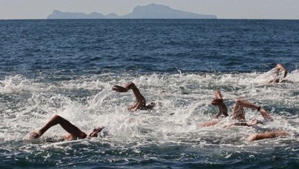 Australian to swim Cuba-US without shark cage | It's Show Prep for Radio | Scoop.it