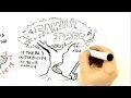 TubeChop - RSA Animate - The Secret Powers of Time (02:24) | iCt, iPads en hoe word ik een ie-leraar? | Scoop.it
