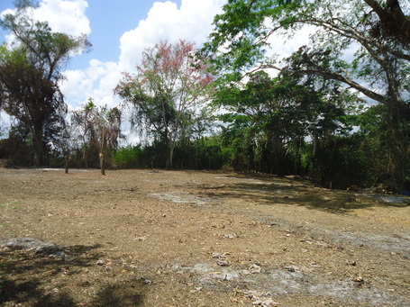 Cayo - Land Clearing Services... The BMW (Best Men at Work!) of land Clearing | Belize You Inspire Me | Scoop.it