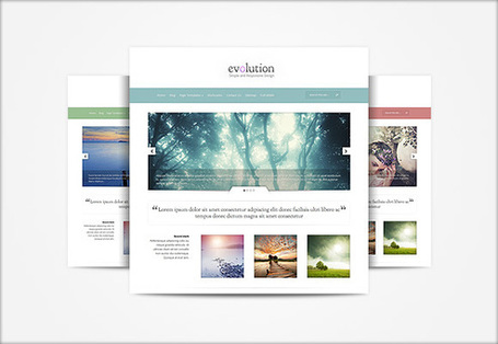 Evolution- Elegant Themes Blog | Premium Wordpress Themes | Scoop.it