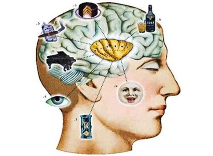 The Relationship Between Cognition And Nutrition | 21st Century Concepts- Educational Neuroscience | Scoop.it
