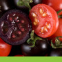 Fighting for Prop 37: The Truth that $36 Million Can&rsquo;t Hide | YOUR FOOD, YOUR HEALTH: Latest on BiotechFood, GMOs, Pesticides, Chemicals, CAFOs, Industrial Food | Scoop.it