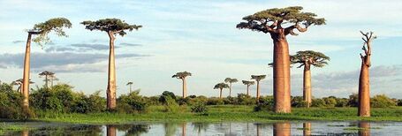 100 Natural Wonders Of The World | Life @ Work | Scoop.it
