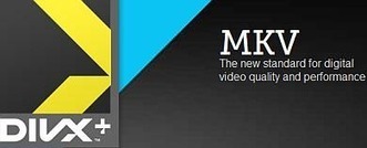 Lire des fichiers MKV avec Windows Media Player 12 | formation 2.0 | Scoop.it