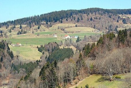 Loups Vosgiens : Contraintes et imp&eacute;ratifs de l&rsquo;&eacute;levage. | Loup | Scoop.it