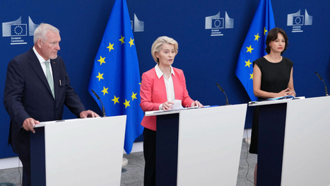 Europe's Summer of Digital Services Act Enforcement Targets Platform Design | by&nbsp;Peter Chapman | TechPolicy.Press | Surfing the Broadband Bit Stream | Scoop.it