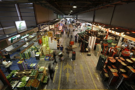 Spanish MEP wants &lsquo;migration-style&rsquo; controls on food imports at the EU border | EUROPES | Scoop.it