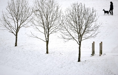 Scots language found to have 421 words for snow | NOTIZIE DAL MONDO DELLA TRADUZIONE | Scoop.it