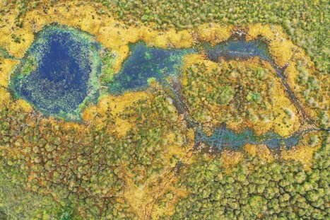Qu'est-ce qu'une zone humide ? | Insect Archive | Scoop.it