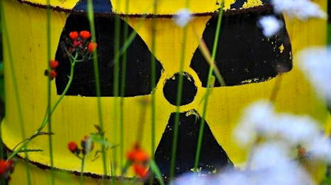 Florida wants to pave its roads with radioactive fertilizer waste - RawStory.com | Operation Deimos | Scoop.it