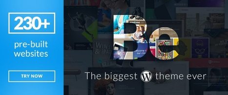 The Best WordPress Themes for 2017 – Why Settle for Less? - Web Design Ledger | Public Relations & Social Marketing Insight | Scoop.it