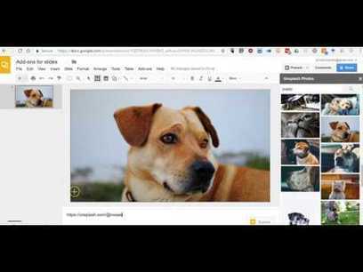 How to Find Free Photos Within Google Slides | Education 2.0 & 3.0 | Scoop.it