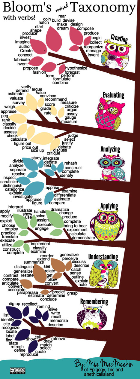 Bloom's Revised Taxonomy Action Verbs infographic - e-Learning Infographics | Into the Driver's Seat | Scoop.it
