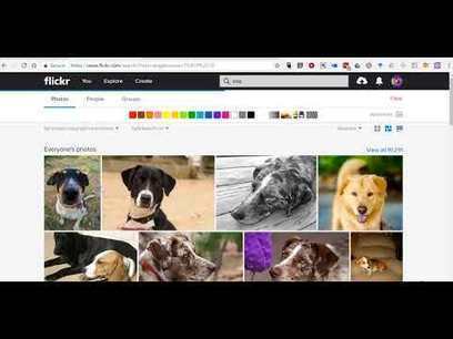  How to Find Public Domain Videos on Flickr via @rmbyrne | iGeneration - 21st Century Education (Pedagogy & Digital Innovation) | Scoop.it