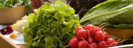Les fruits et légumes bio plus riches en antioxydants, selon une étude scientifique | HORTICULTURE | Scoop.it