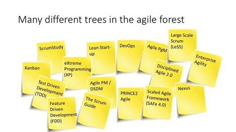 How to understand the forest of Agile methods, and frameworks? How can we see the wood for the trees? | Devops for Growth | Scoop.it