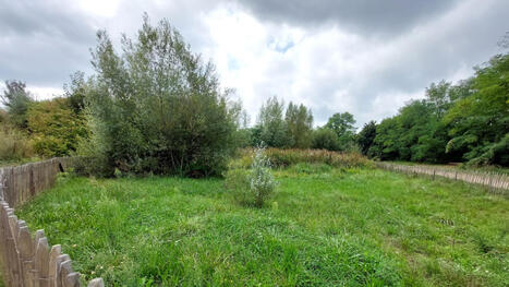 La mare perchée du Parc des Beaumont fait sa coupe d’automne | Est Ensemble | Actualités Seine-Saint-Denis | Scoop.it