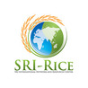 SRI Global News: June - October 2023 **sririce.org -- System of Rice Intensification