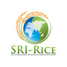 --- SRI Global News: March - May 2025 --- *SRI-Rice -- System of Rice Intensification