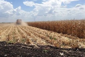 Treated sewage product boosts Darling Downs crops | GTAV AC:G Y9 - Biomes and food security | Scoop.it