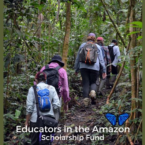 Give the Gift of Conservation Education!  | RAINFOREST EXPLORER | Scoop.it