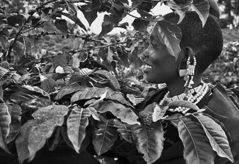 La RSE peut aussi aider les entreprises à fidéliser la clientèle | Clubs QSE - RSE | Scoop.it