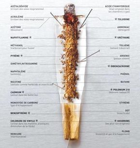 La cigarette : autopsie d’une meurtrière | Toxique, soyons vigilant ! | Scoop.it