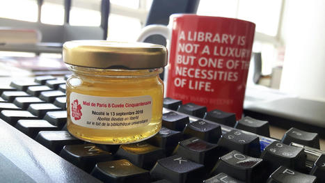 Du miel et des abeilles… à la bibliothèque | Veille professionnelle | Scoop.it