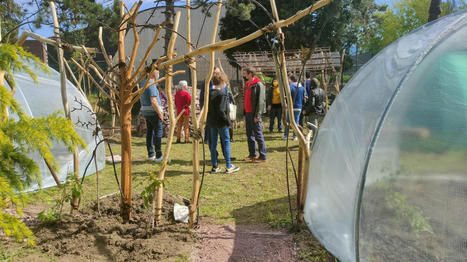Lille : un potager en v&eacute;ritable lieu de vie au lyc&eacute;e Pasteur | Nature en ville | Scoop.it