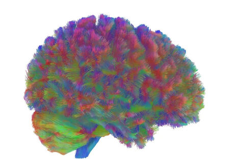 La ciencia acaba de descubrir por qué no avanzas: las 5 edades clave en las que tu cerebro se transforma | Mi Cajón de Ideas | Scoop.it