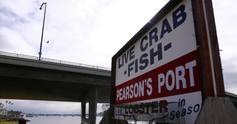 Unable to fish, lobster tanks remain empty weeks after California oil spill - The Denver Channel | Operation Deimos | Scoop.it
