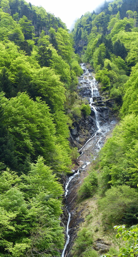 En cheminant vers le Moudang le 13-05-2026 | Vall&eacute;es d'Aure & Louron - Pyr&eacute;n&eacute;es | Scoop.it